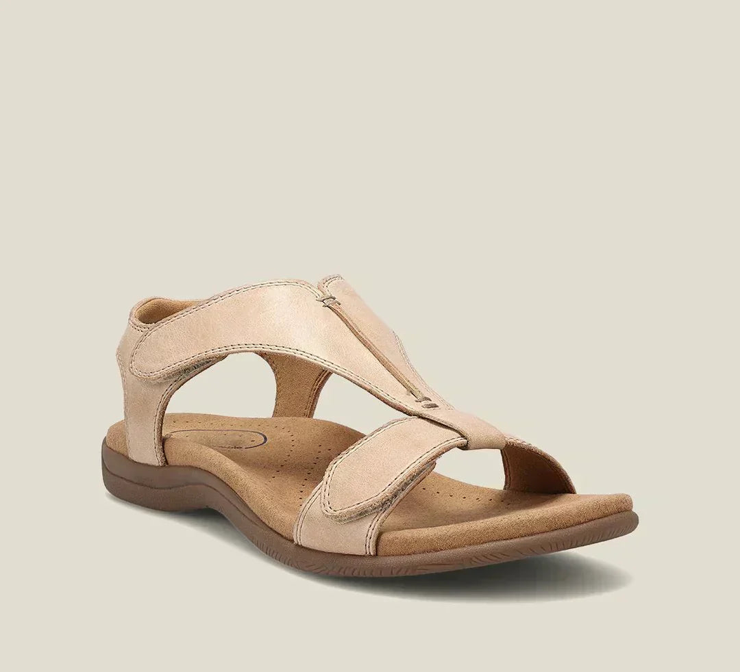 Beige / 12 (EU43)